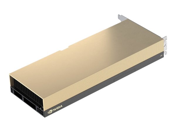 PNY A30 - A30 - 24 GB - Memoria a banda larga elevata 2 (HBM2) - 3072 bit - PCI Express x16 4.0