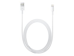 Apple Lightning to USB Cable - Cavo - Digitale / dati 2 m - 4-pole - Bianco