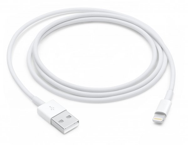 Apple Lightning to USB Cable - Cavo - Digitale / dati 1 m - 4-pole - Bianco