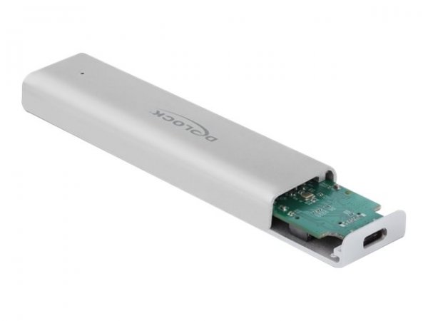Delock 42634 - Box esterno SSD - M.2 - M.2 - 10 Gbit/s - Collegamento del dispositivo USB - Argento
