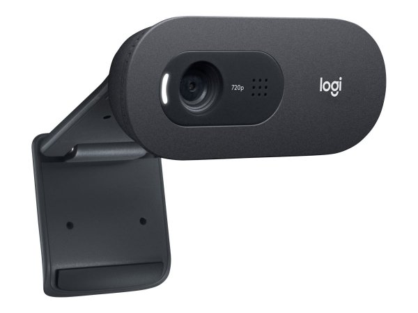 Logitech C505 Webcam HD - Videocamera USB Esterna 720p HD per Desktop o Laptop con Microfono a Lunga
