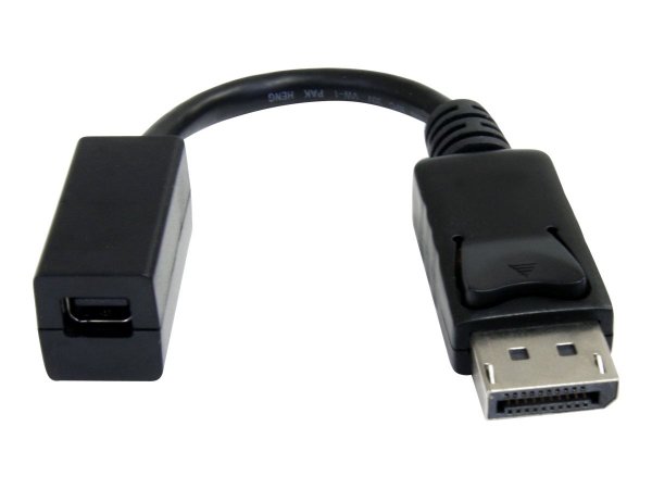 StarTech.com 15cm DisplayPort auf Mini DisplayPort Adapter - 1 x DP (20 pin)