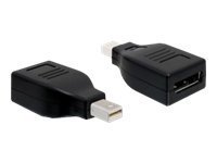 Delock DisplayPort adapter - Mini DisplayPort (M) to DisplayPort (F)